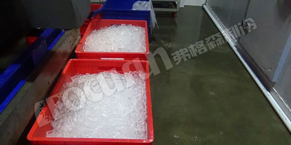 10 tons tube ice machine with 20T cold room--Indonesia-3