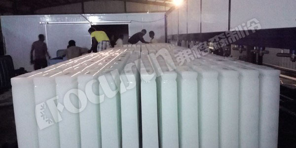 two sets of 25 tons direct system block ice machine + 50 tons cold room--Eritrea-4